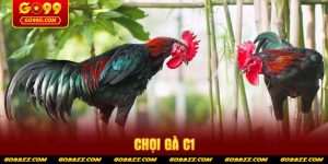 choi-ga-c1